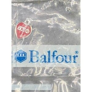 1987 Beta Sigma Phi Balfour Charm Silver and Red Enamel - Vintage